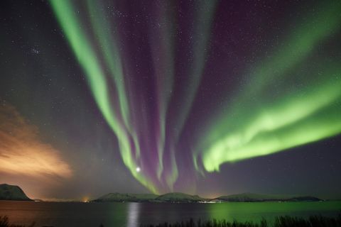 Tromsø : Chasse aux aurores privée de 6 heures en minivan