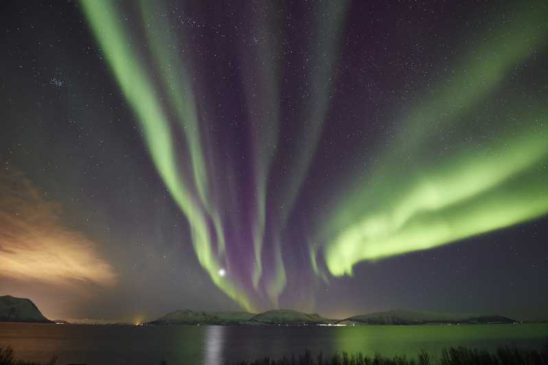 Tromsø: tour privato alla ricerca dell'aurora boreale