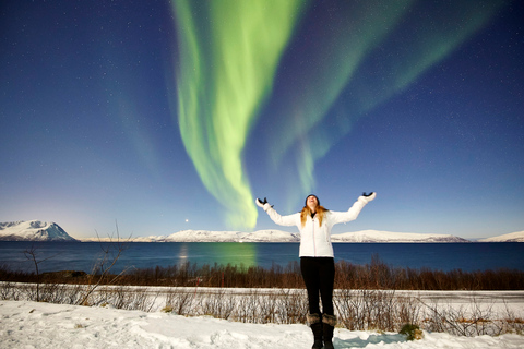 Tromsø: persecución privada de 6 horas por la aurora en minivan