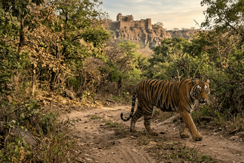 From Delhi: 6-Day Golden Triangle Tour with Ranthambore Tour with 4-Star Accommodation