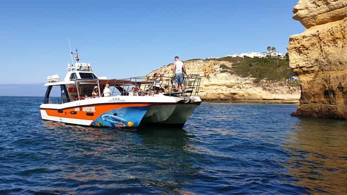 lagos 90minute dolphin watching by catamaran