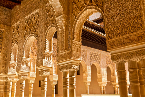 Granada: Alhambra, Nasrid Palaces, and Generalife Tour Shared Tour in French