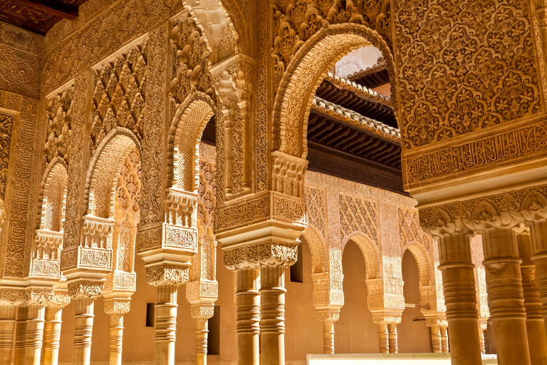 Granada: Alhambra, Nasrid Palaces, and Generalife Tour Shared Tour in Italian