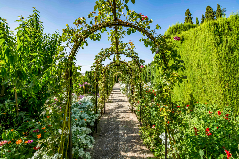 Granada: Alhambra, Nasridenpaläste und Generalife TourKleingruppentour