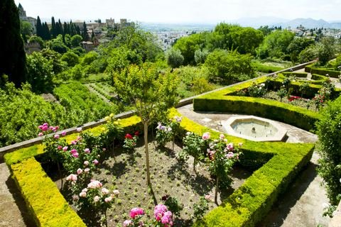 Granada: Visita a la Alhambra, Palacios Nazaríes y GeneralifeTour en grupo reducido