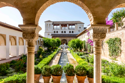 Granada: Alhambra, Nasrid Palaces, and Generalife Tour Shared Tour in French