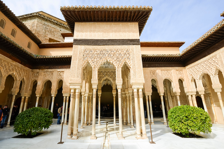 Granada: Visita a la Alhambra, Palacios Nazaríes y GeneralifeTour compartido en italiano