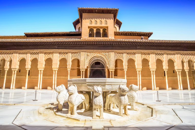 Granada: Visita a la Alhambra, Palacios Nazaríes y GeneralifeTour compartido en italiano