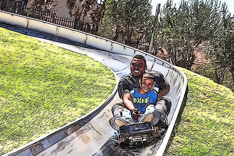 Kaapstad: Cool Running/Toboggan Adventure en ophaalservice vanaf je hotelKaapstad: Cool Running/Toboggan-avontuur en ophaalservice vanaf je hotel