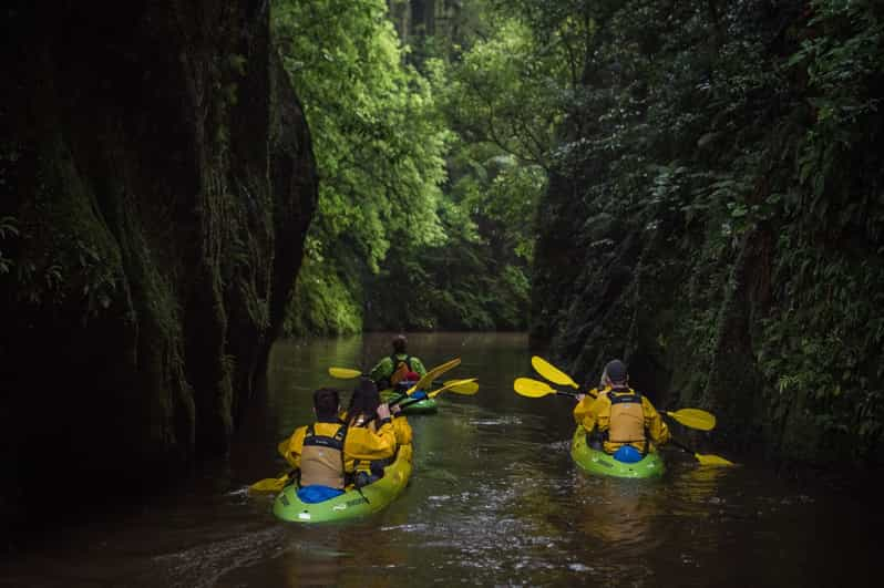 Lake Karapiro: Evening Kayak Glowworm Tour | GetYourGuide