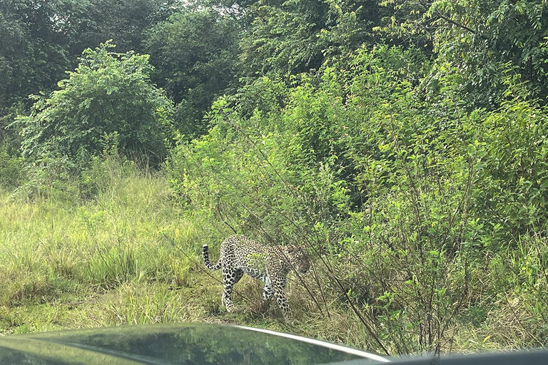 De Big5 Game Drive & Kamperen op de hoogste top van Akagera