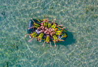 Phu Quoc, Cable Car Ride und 3 Inseln Bootstour mit Mittagessen - Hizvo