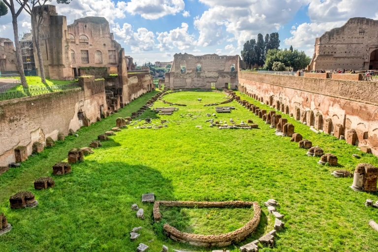 Roma: tour del Coliseo subterráneo, la arena y el ForoTour privado en inglés con zona subterránea, arena y Foro