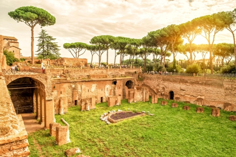 Rome: tour ondergronds Colosseum, Arena & Forum RomanumRondleiding in het Spaans - ondergronds Colosseum & Arena