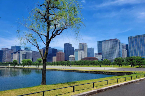 Tokyo Full and Half Day Sightseeing Tour with Mount Fuji Tokyo: 4 Hours Private City Sightseeing Tour with Tour Guide