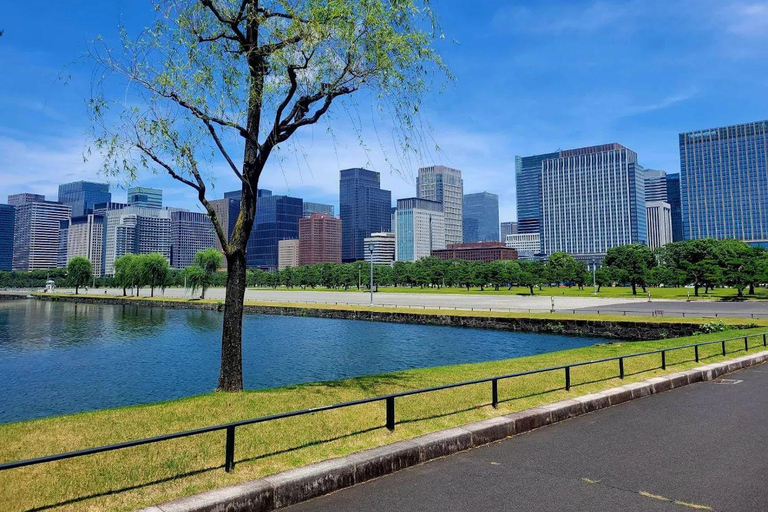 Tokyo Full and Half Day Sightseeing Tour with Mount Fuji Tokyo: 4 Hours Private City Sightseeing Tour with Tour Guide