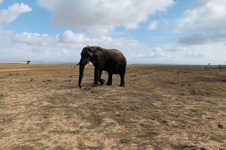 4-Day Garden Route Experience Shared Dormitory Accommodation