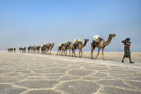 Semera to the Edge of Earth: 3-Day Danakil Extreme Adventure