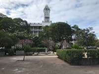 Stone Town, Stone Town et Prison Island Voyage d'une journée privée - Hizvo