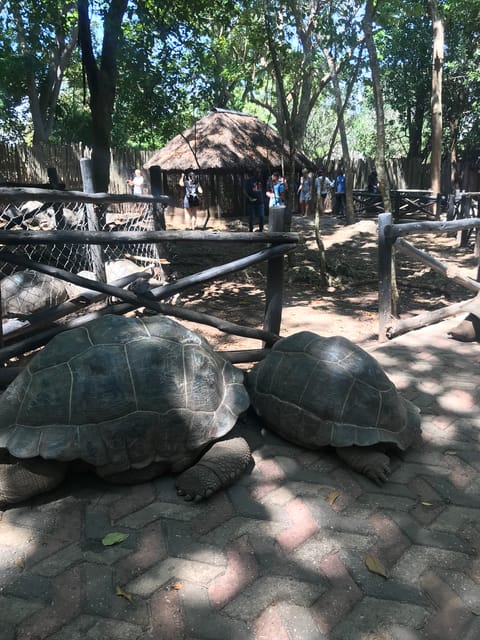 Stone Town, Stone Town et Prison Island Voyage d'une journée privée - Hizvo
