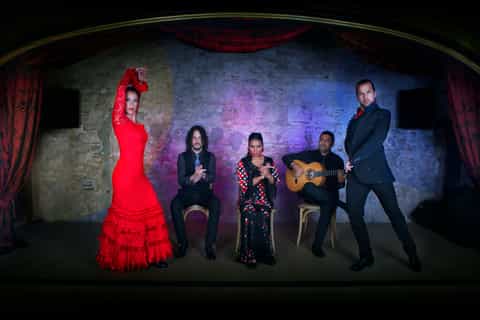 barcelona flamenco show at casa lola with dinner and drink