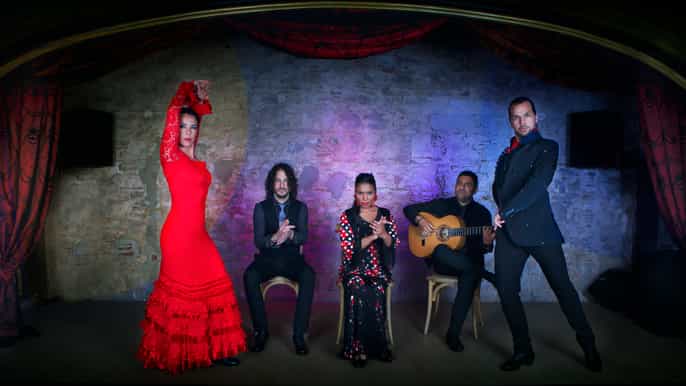 barcelona flamenco show at casa lola with dinner and drink
