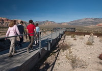 Red Rock Canyon met rocky gap 4x4 avontuur - Housity