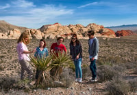 Red Rock Canyon met rocky gap 4x4 avontuur - Housity