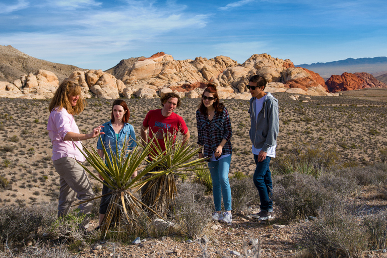 Red Rock Canyon & Rocky Gap: Allrad-Abenteuer