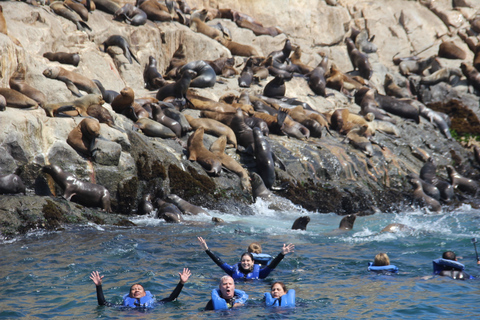 Islas Palomino: nada con leones marinos en océano PacíficoTour con recogida y regreso al hotel