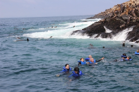 Islas Palomino: nada con leones marinos en océano PacíficoTour con recogida y regreso al hotel