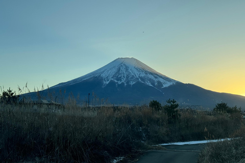 Depuis Tokyo : Excursion privée d&#039;une journée au Mont Fuji et à Hakone