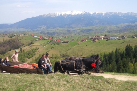 De Brașov: excursion d'une demi-journée ou d'une journée complète en Jeep TransylvaniaDe Brașov: demi-journée en jeep de Transylvanie