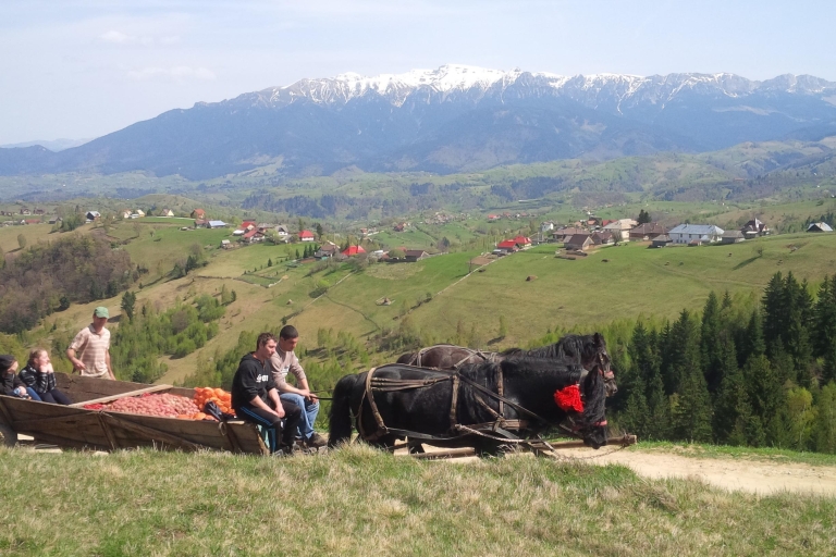 De Brașov: excursion d'une demi-journée ou d'une journée complète en Jeep TransylvaniaDe Brașov: demi-journée en jeep de Transylvanie