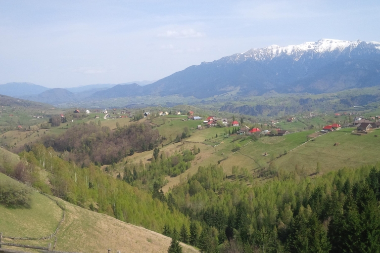 Von Brașov: Halb- oder Ganztagestour mit dem Siebenbürgen-JeepAb Brașov: Ganztägige Jeep-Tour durch Siebenbürgen