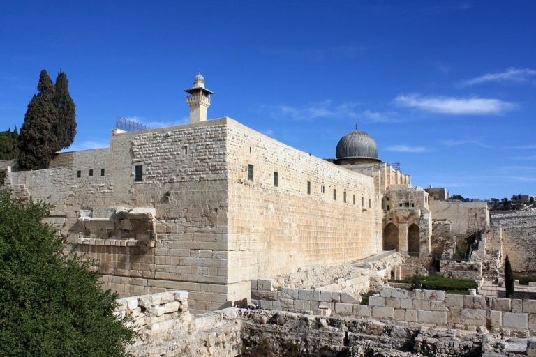 De Tel Aviv: visite biblique d'une journée à JérusalemJérusalem: visite biblique d'une journée à partir de Tel Aviv - en espagnol