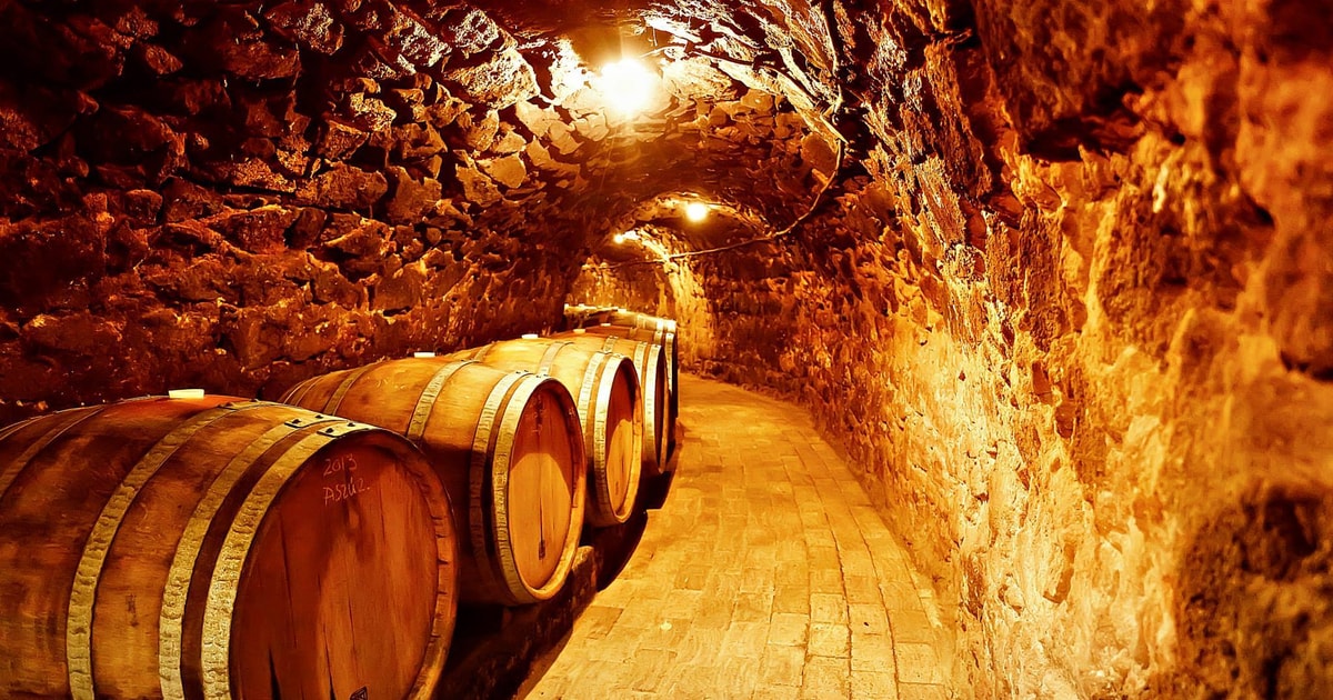 Tours, Sightseeing and Activities in Tokaj