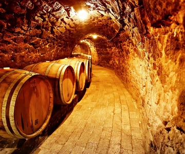 Tokaj: Rundtur på vingård och provsmakning