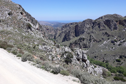 Chania: Milia Mountain Tour w/Lunch Olive Oil/Wine Tastings