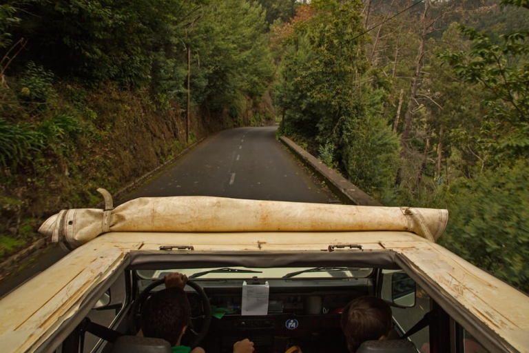 Madeira: Geländewagen-Tour und Levada-WanderungTour mit Treffpunkt für Kreuzfahrtpassagiere