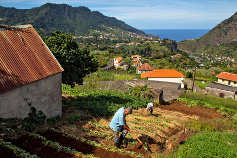 Madeira: Das Beste aus dem Süden Jeep-TourTour Abholung Madeira