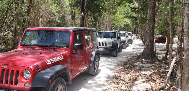 Cozumel: Private Jeep Tour Shore Excursion