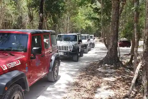 Cozumel: Private Jeep Tour Shore Excursion