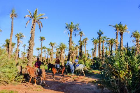 Marrakech: Palm Grove Ridningstur på hästryggen