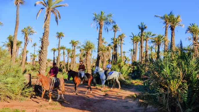 palm grove horseback riding tour