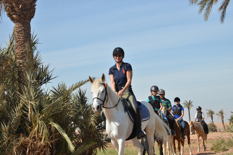 Marrakech: tour a cavallo del palmeto