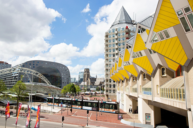 From Amsterdam: Guided Trip to Rotterdam, Delft & The Hague