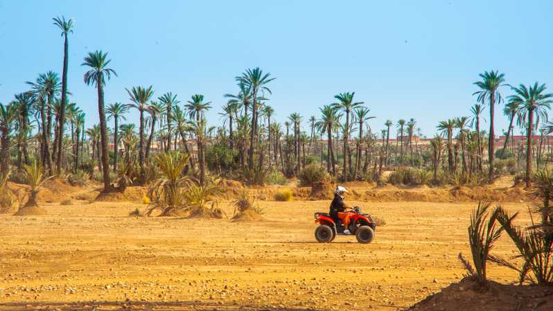 Palmeraie, Marrakesh: quad-excursie van 2 uur met theepauze | GetYourGuide