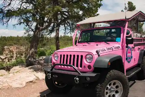 Tusayan: Grand Canyon Desert View & South Rim Pink Jeep Tour