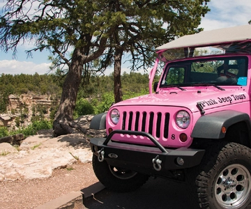 Tusayan: Grand Canyon Desert View & South Rim Pink Jeep Tour